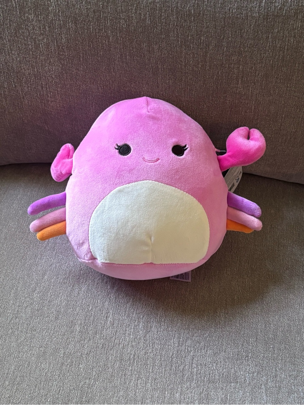 Squishmallows Cailey the Crab 8” plush